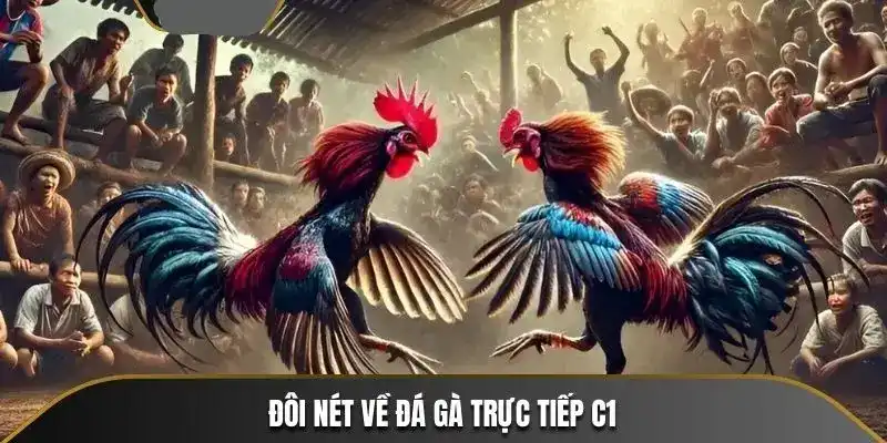 Vài điều về đá gà trực tiếp C1