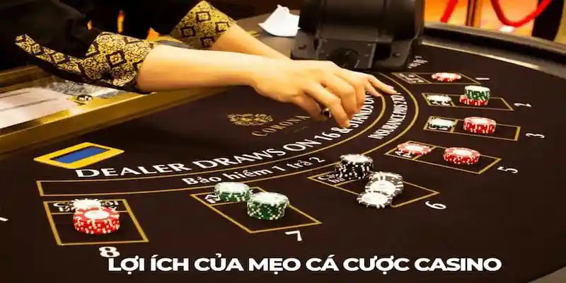 Tại sao bạn phải dùng mẹo cá cược casino khi chơi?